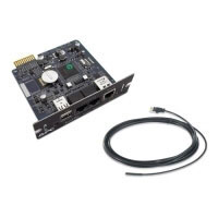 Apc Network Management Card 2 (AP9631) Apc Network Management Card 2 (AP9631)